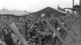 Timeline: Sam Replogle, Kane Johnson: Empire Of The Sun