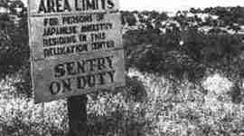 Timeline: Japanese Internment Camps- Frankie Parrott, Tyler Gurchiek