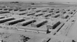 Timeline: japanese internment dallin peter