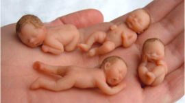 Timeline: Nadons a la carta  (Bebés a la carta - Designer babies)