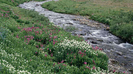 Timeline: LA EDAD MEDIA EN EXTREMADURA