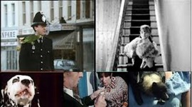 Timeline: British Politics from 1955 to 1972