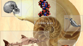 Timeline: Desarrollo de la Teoría de la Evolución