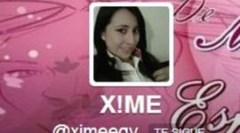 Timeline: Caso Ximena