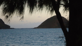 Timeline: Life's Events