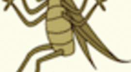 Timeline: The Crickets at School