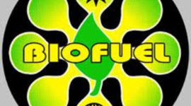 Timeline: Bio-Fuel