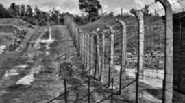 Timeline: Daily Life in Concentration Camp