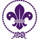 Scout emblem imagelarge