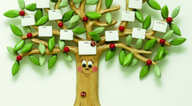 Timeline: A  minha árvore genealógica