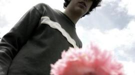 Timeline: Un Ano que se examina