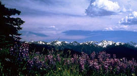 Timeline: Historical Happenings in the Pacific Northwest