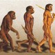 Darwin7