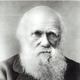 Darwin desktop