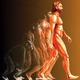 155 genes dioses 001