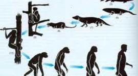 Timeline: Desarrollo de la teoría de la evolución