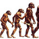Evolucion