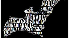 Timeline: Naidas timeline and 5 inportant events