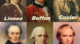 Timeline: Preevolucionistas y Evolucionistas