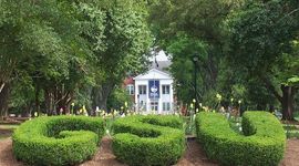 Timeline: My College Life at GSU