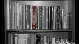 Timeline: Lauren Noble's Reading Timeline