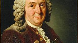 Timeline: Preevolucionistas.