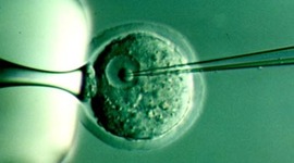 Timeline: Història dels clons