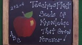 Timeline: ToniMarie's Career Timeline