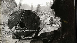 Timeline: The Timeline of Giant Success