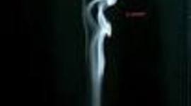 Timeline: Looking For Alaska