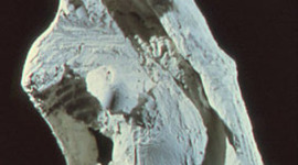 Timeline: Manuel Neri by Ms. Laich