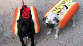 Timeline: History of Man