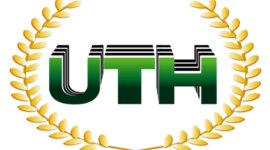 Timeline: Clases UTH