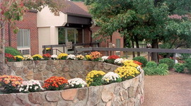 Timeline: Parkridge Valley