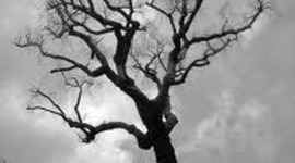 Timeline: Emily Bronte