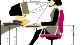 Timeline: Semblanza histórica de la Ergonomía