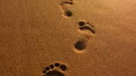 Timeline: life goals