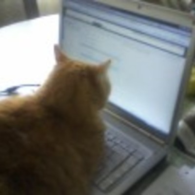 Timeline: Mock Trial 2010