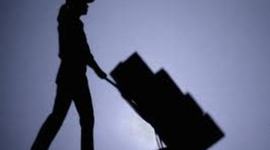 Timeline: Distribution