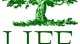 Timeline: Goals and Future Wants