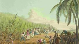 Timeline: Slavery and Social Injustice