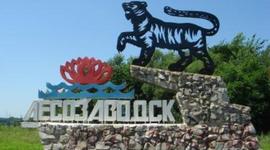 Timeline: ЛЕСОЗАВОДСК. КОЛЕСО ИСТОРИИ