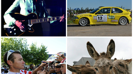 Timeline: Agenda 2013 Lisieux et pays d'Auge