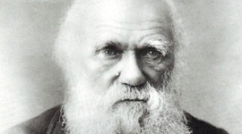 Timeline: Darwin