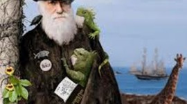 Timeline: Darwin i la teoria de les especies