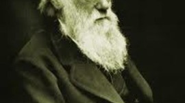 Timeline: Darwin i la teoria de l'evolució