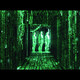 The matrix coded view