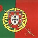Bandeira portuguesa com cravo 1