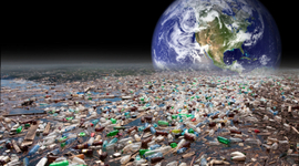 Timeline: Historia Problematica Ambiental