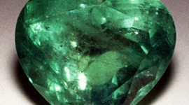 Timeline: mi hermosa vida